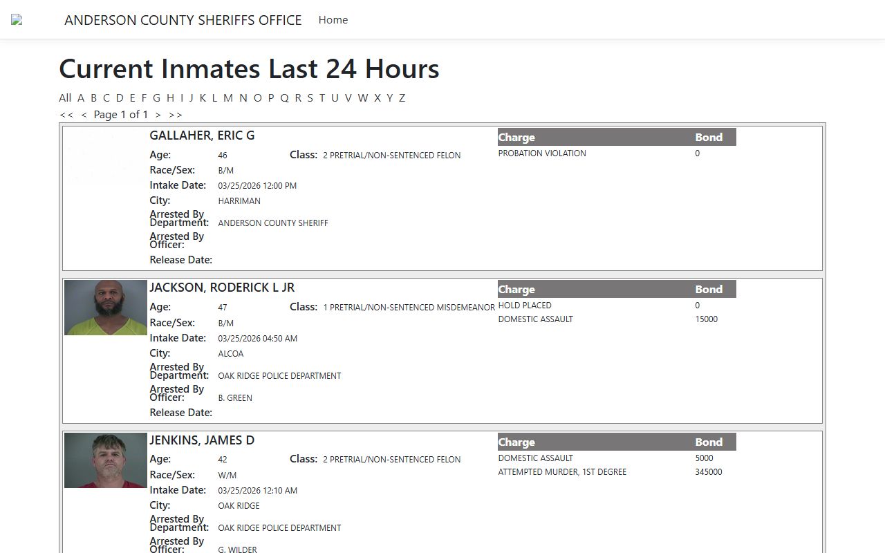 Anderson County ISOMS jail portal showing booking releases and inmate records