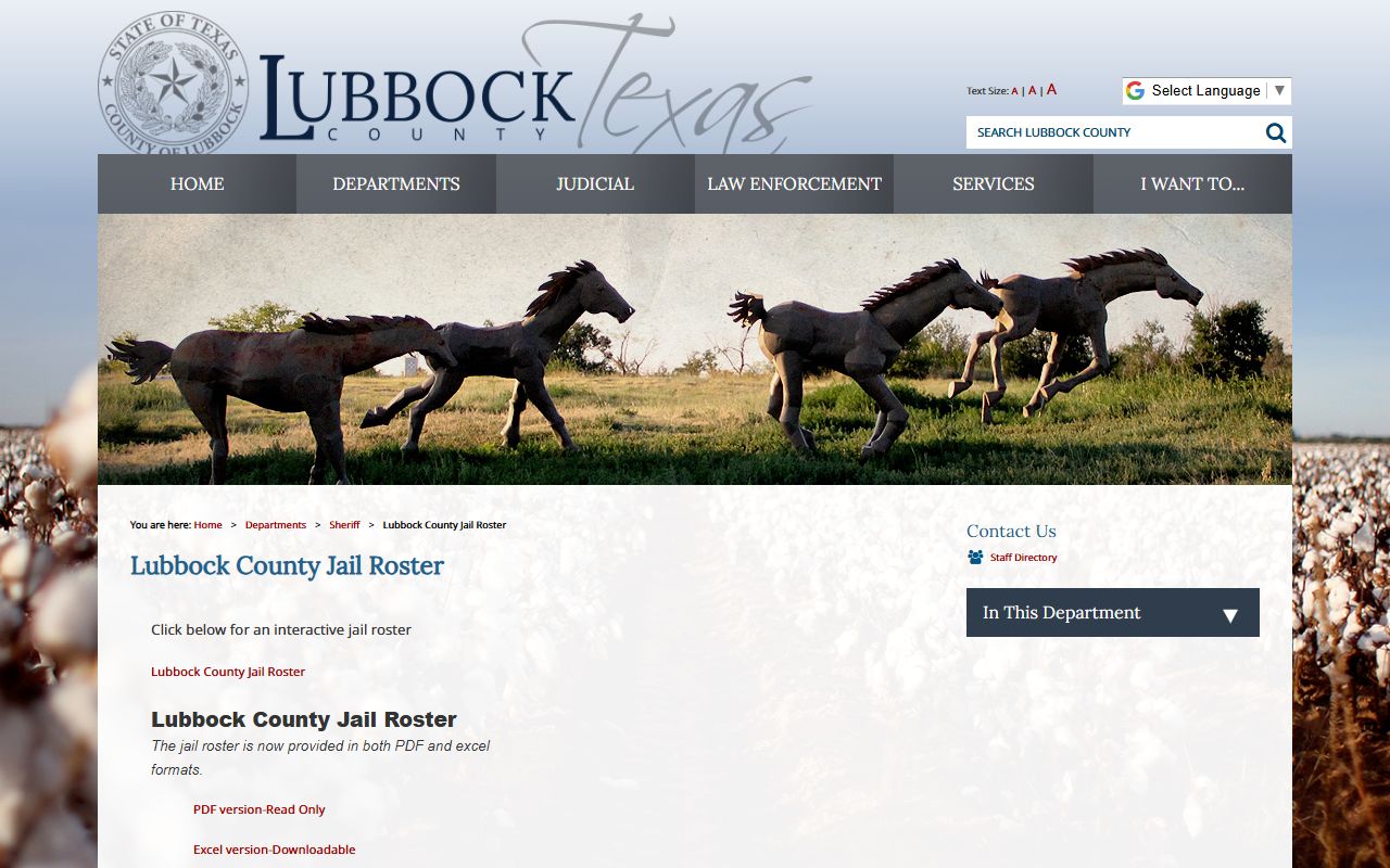 Lubbock County booking releases and inmate search records - Lubbock County Sheriff's Office Jail Roster